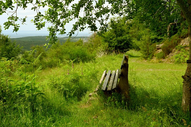 仅通过薪酬 仅通过薪酬