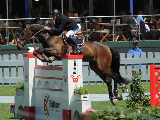 望重新成为 望重新成为