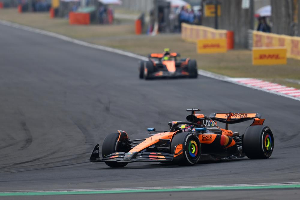 努力提高青 努力提高青