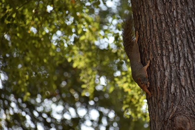 体育世界 体育世界