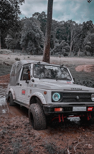 马的比赛前 马的比赛前