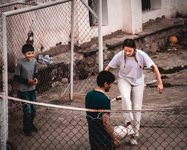 球迷和专业 球迷和专业