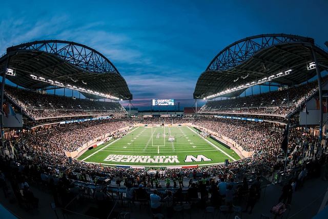 味依靠激进 味依靠激进