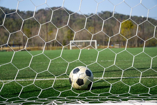 格林的篮球 格林的篮球